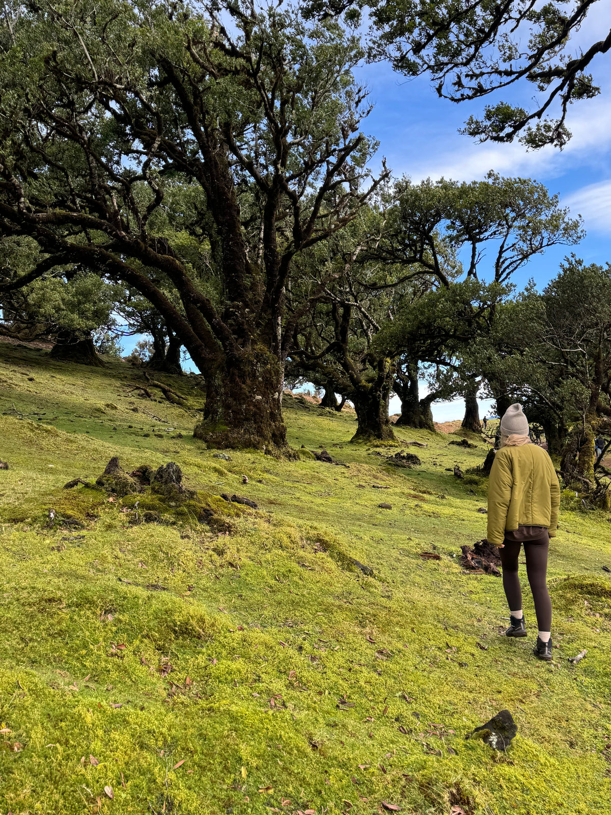 Travel Journal: Wyspa, która pachnie eukaliptusem, a smakuje jak Pão de Deus.