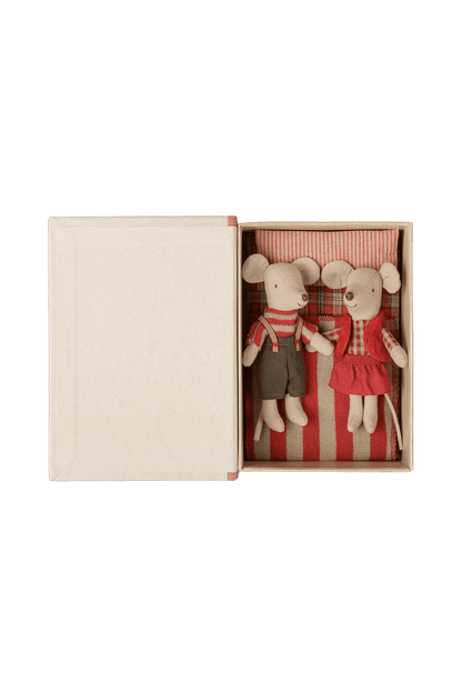 Ratones gemelos navideños en un libro