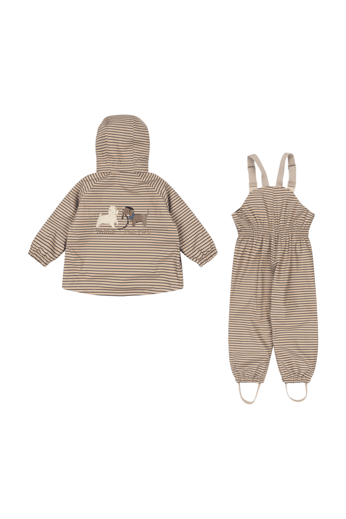 Rainy Palme Dog Set