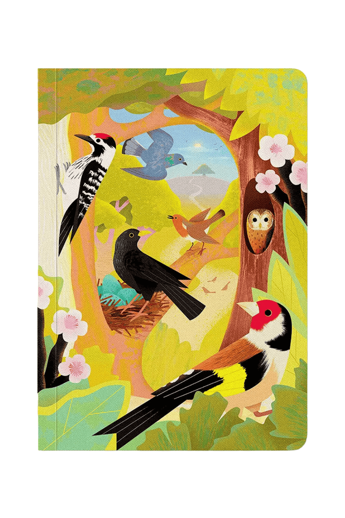 Carnet de notes premium A6 sur les oiseaux britanniques