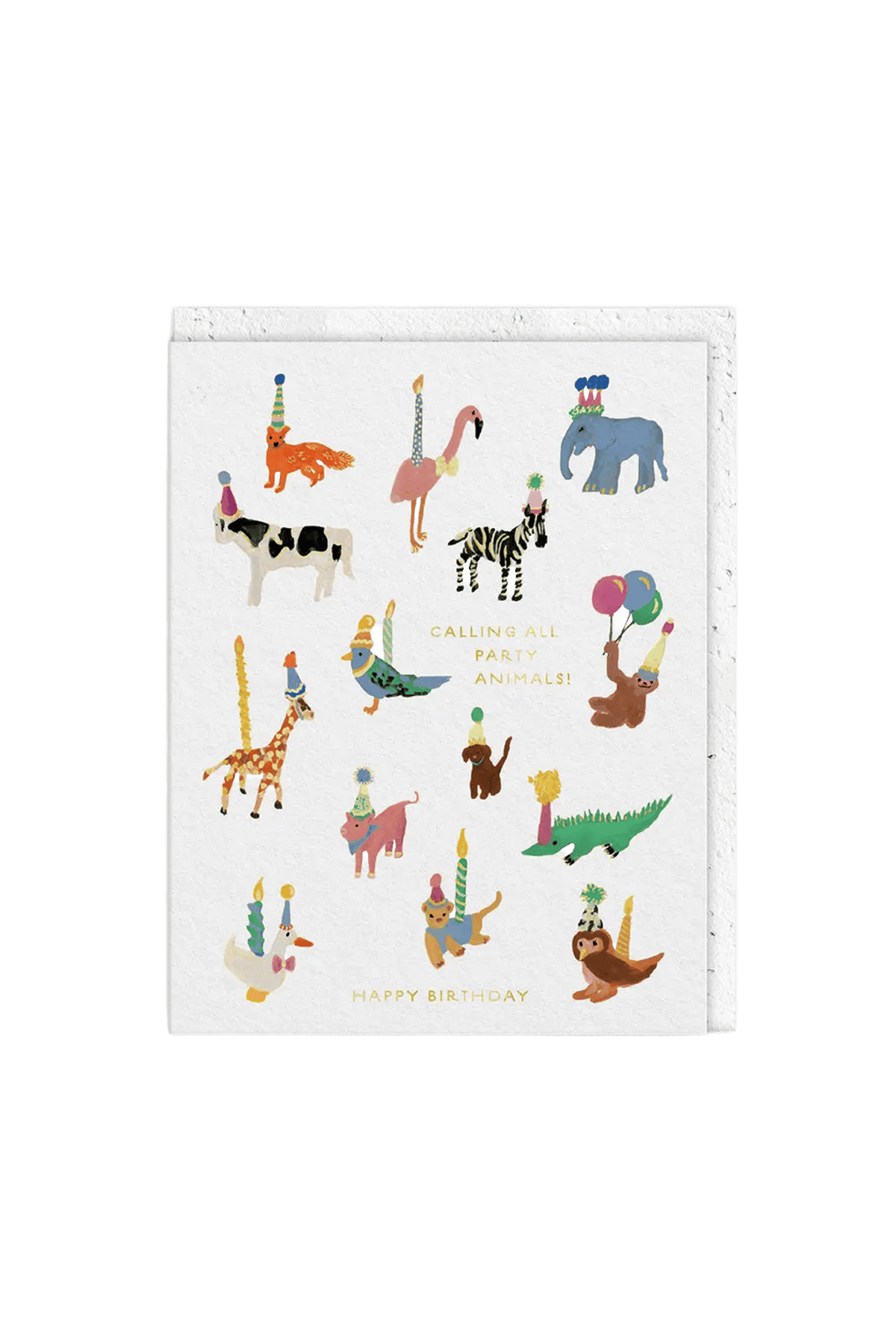 Party Animals Greeting Card