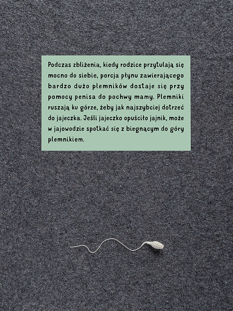 Pępek Wydawnictwo Natuli BEBE Concept 