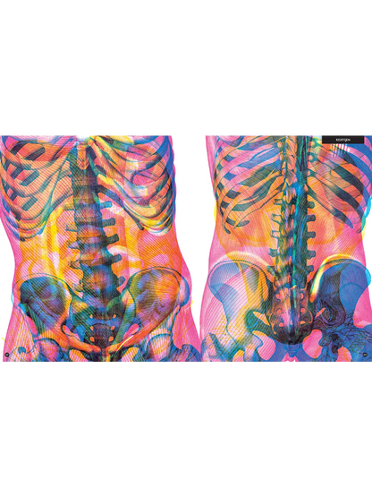 Gabinet anatomii Wydawnictwo Dwie Siostry BEBE Concept 