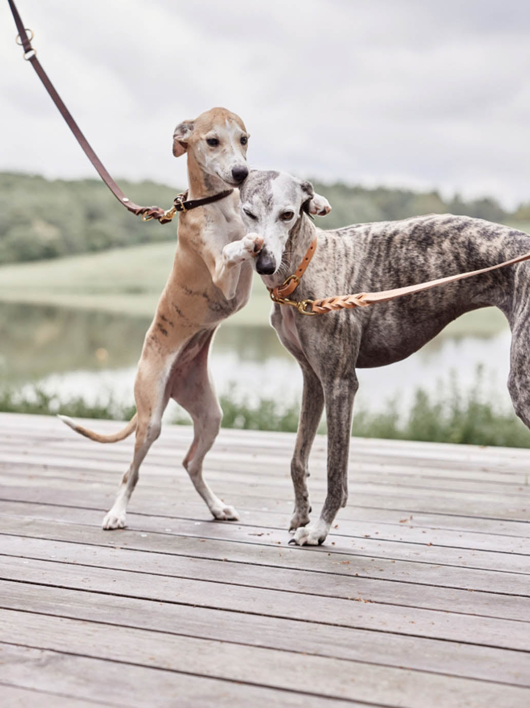 Skórzana smycz dla psa z regulacją Robin Dog Leash OYOY BEBE Concept 