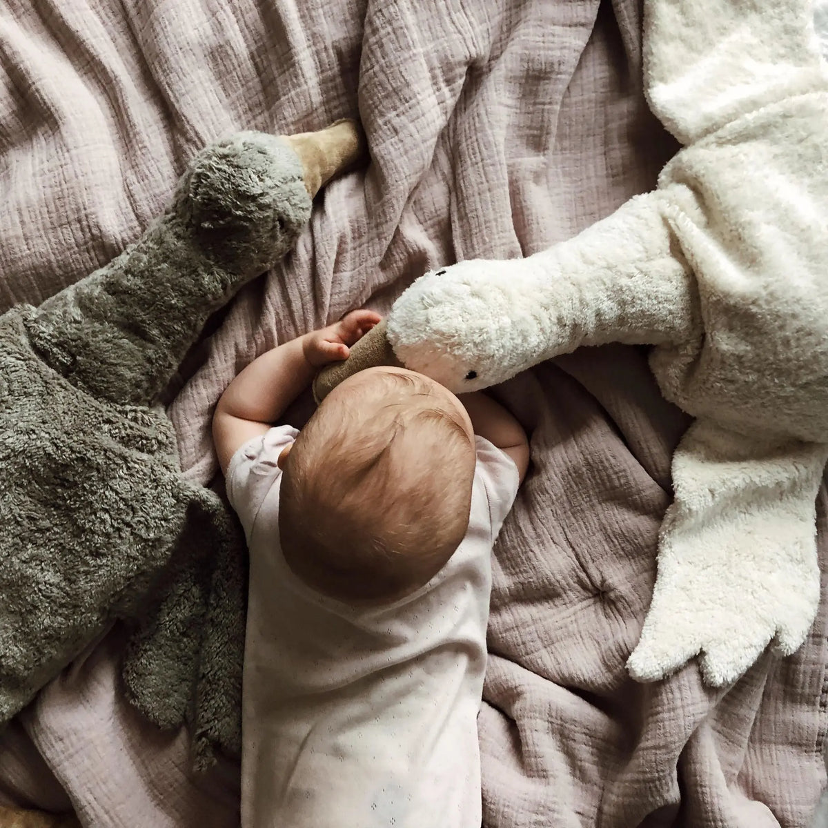 Termofor przytulanka Cuddly Animal Large Senger Naturwelt BEBE Concept 