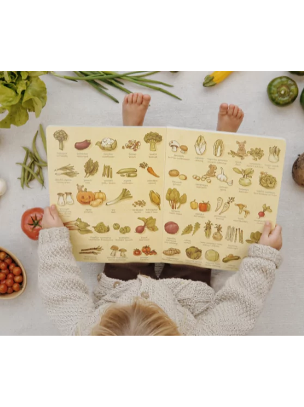Słownik obrazkowy polsko-angielski Wydawnictwo SAM BEBE Concept 
