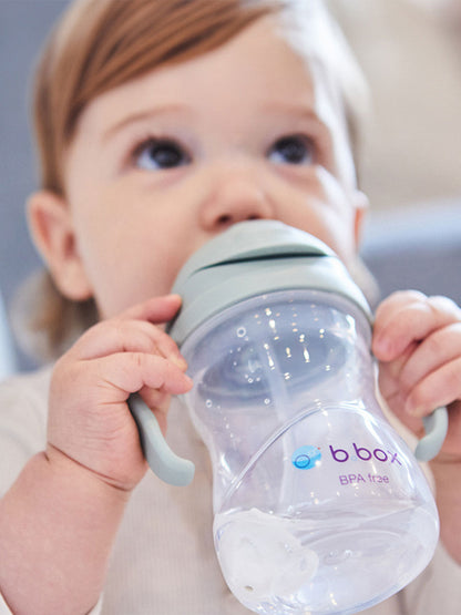 Bidon niekapek z rurką B.Box BEBE Concept 