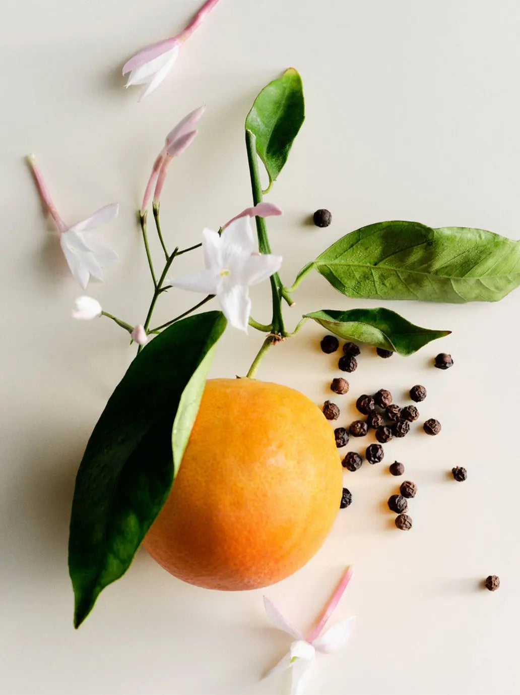 Naturalna świeca zapachowa Jasmine Maison Louis Marie BEBE Concept 