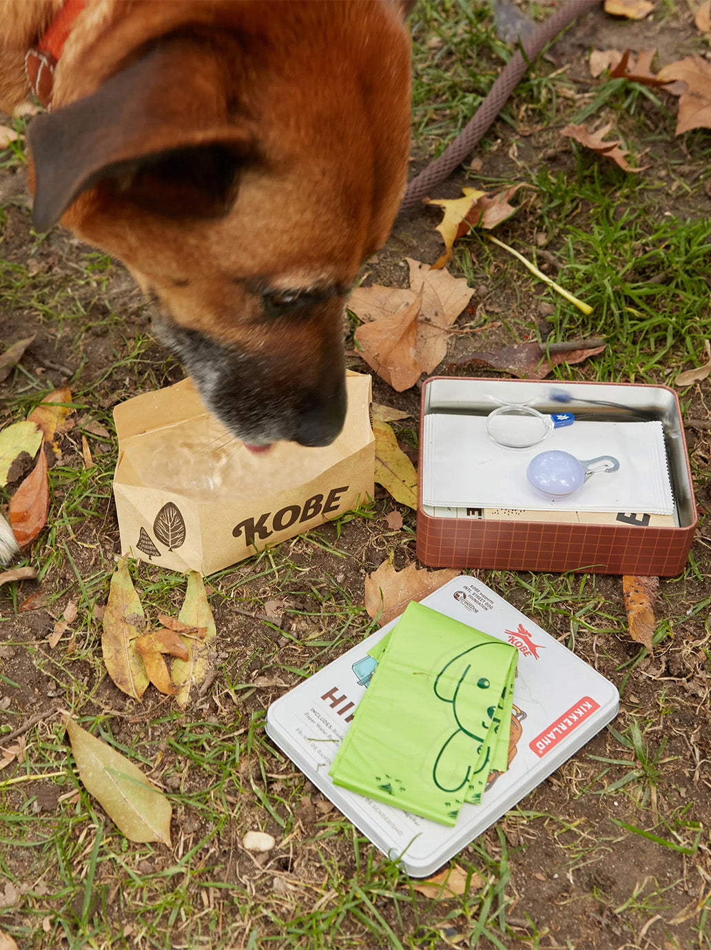 Zestaw dla psa Kobe Dog Hiking Kit Kikkerland BEBE Concept 
