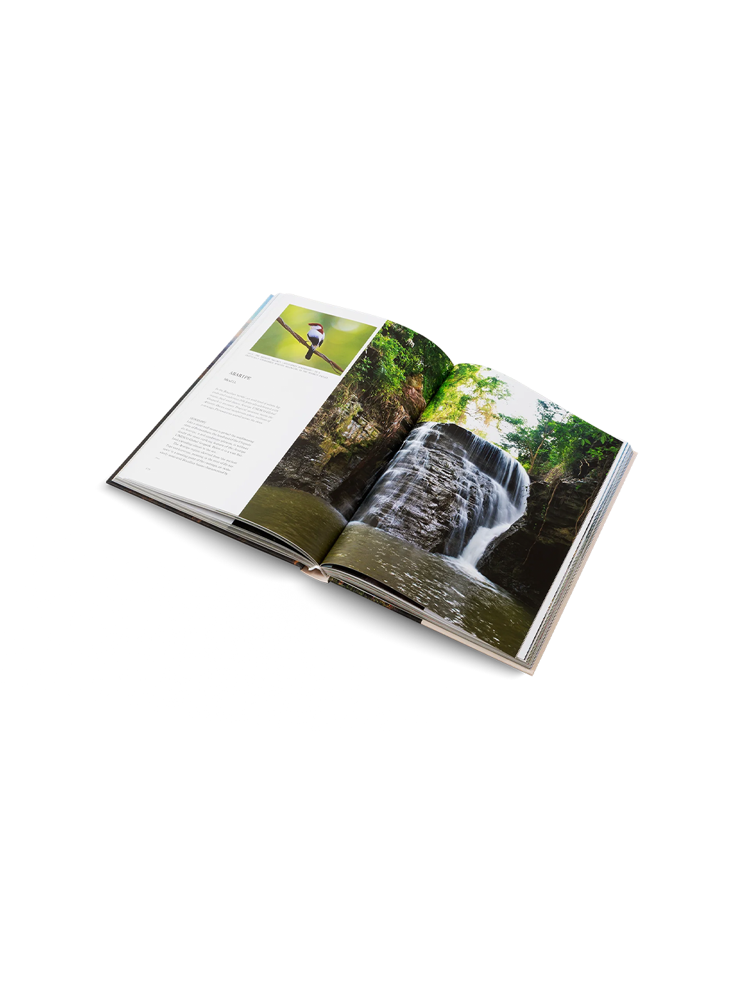 THE UNESCO GLOBAL GEOPARKS Gestalten BEBE Concept 