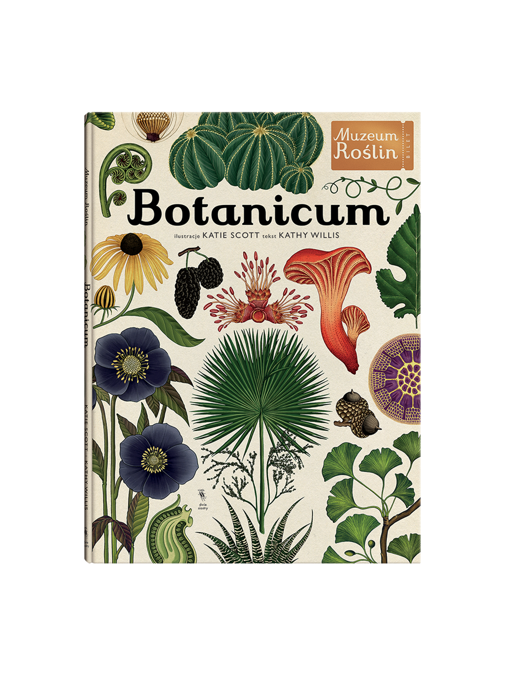 W Muzeum. Botanicum Wydawnictwo Dwie Siostry BEBE Concept 