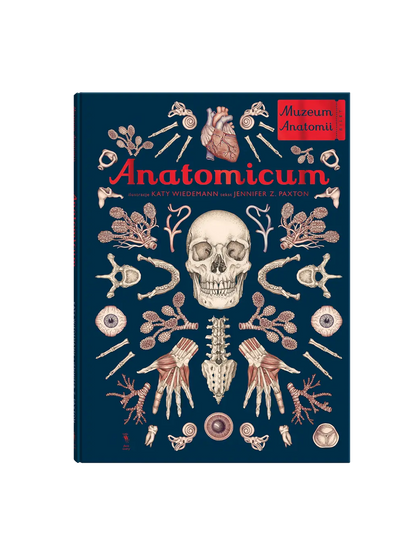 W Muzeum. Anatomicum Wydawnictwo Dwie Siostry BEBE Concept 