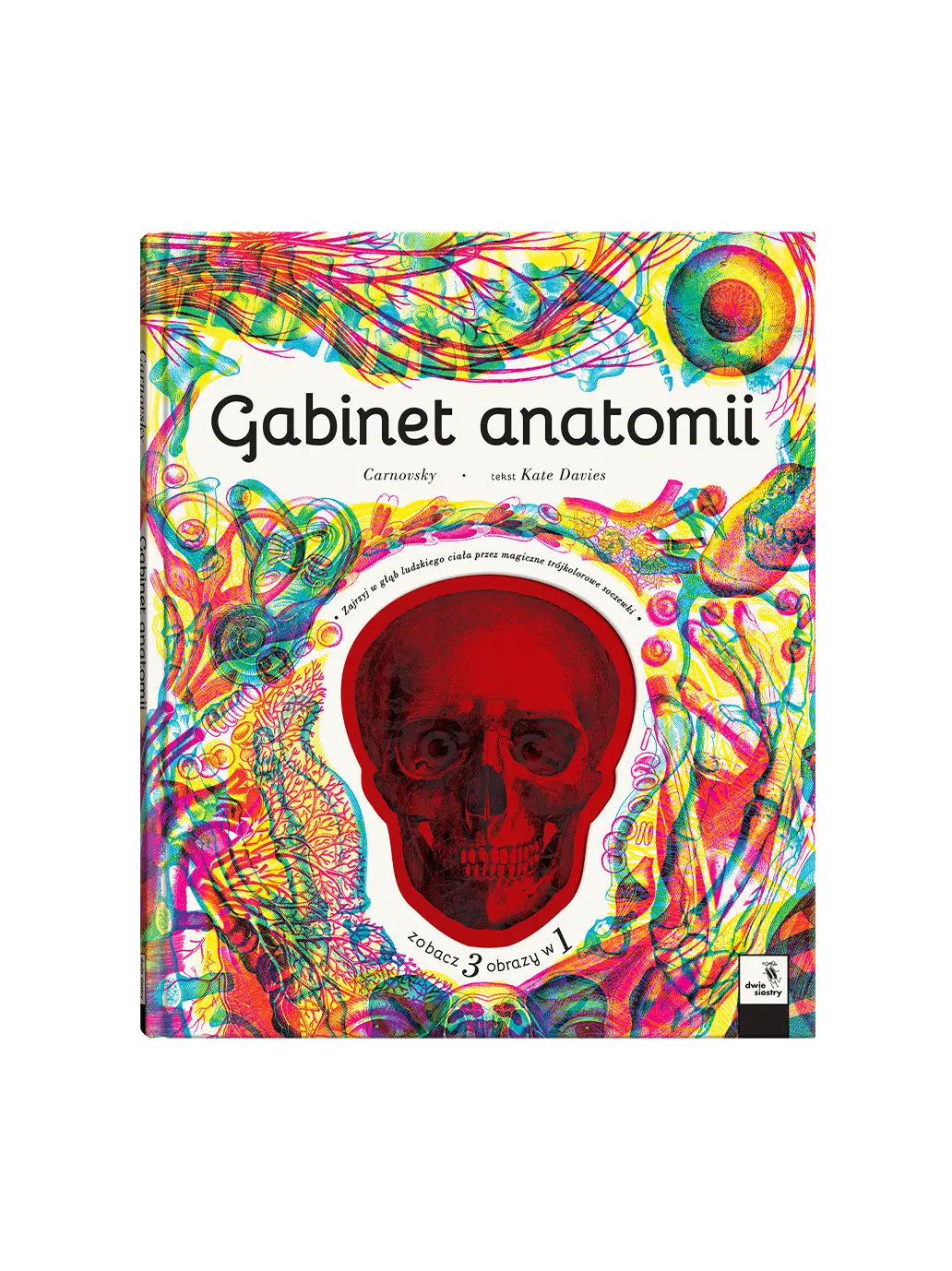 Gabinet anatomii Wydawnictwo Dwie Siostry BEBE Concept 