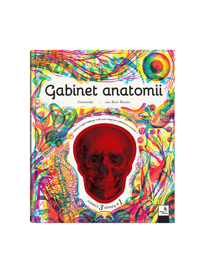 Gabinet anatomii Wydawnictwo Dwie Siostry BEBE Concept 
