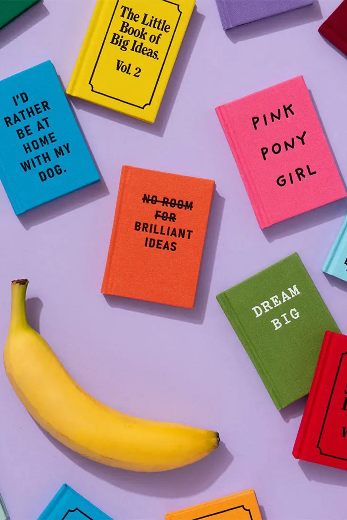Mini notatnik Little Book of Bad Ideas