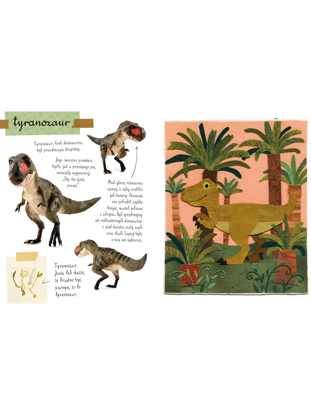 Mały atlas dinozaurów Ewy i Pawła Pawlaków Wydawnictwo Nasza Ksiegarnia BEBE Concept 
