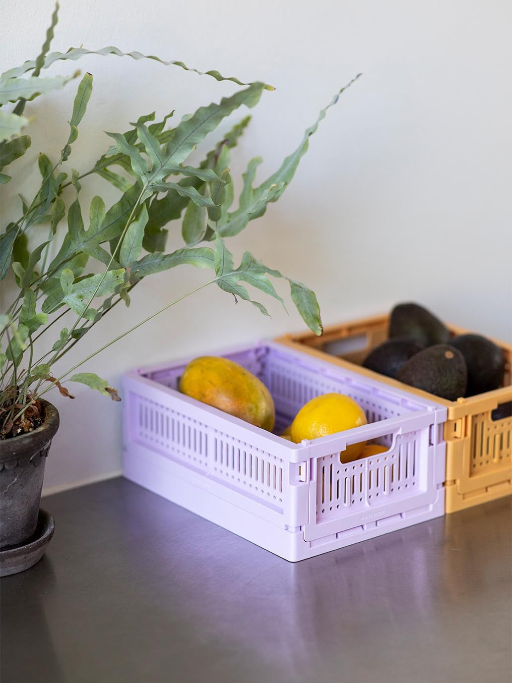 Skrzynka modułowa z recyclingu Made Crate BEBE Concept 
