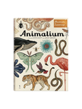 W Muzeum. Animalium Wydawnictwo Dwie Siostry BEBE Concept 