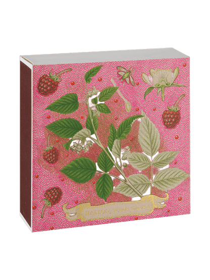 Allumettes de luxe dans une boîte décorative ROSE FRAMBOISE