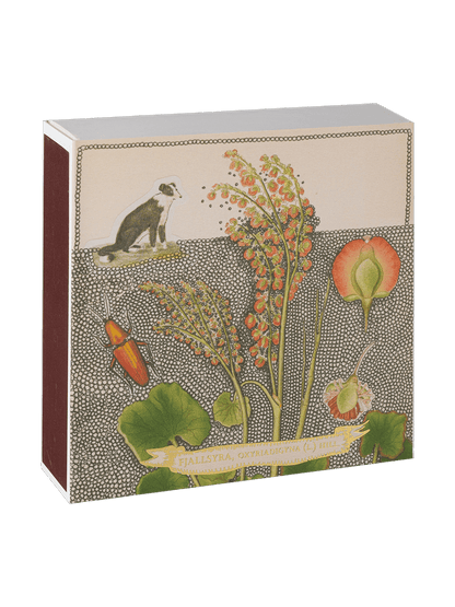 Allumettes de luxe dans une boîte décorative CHIEN BOTANICAL