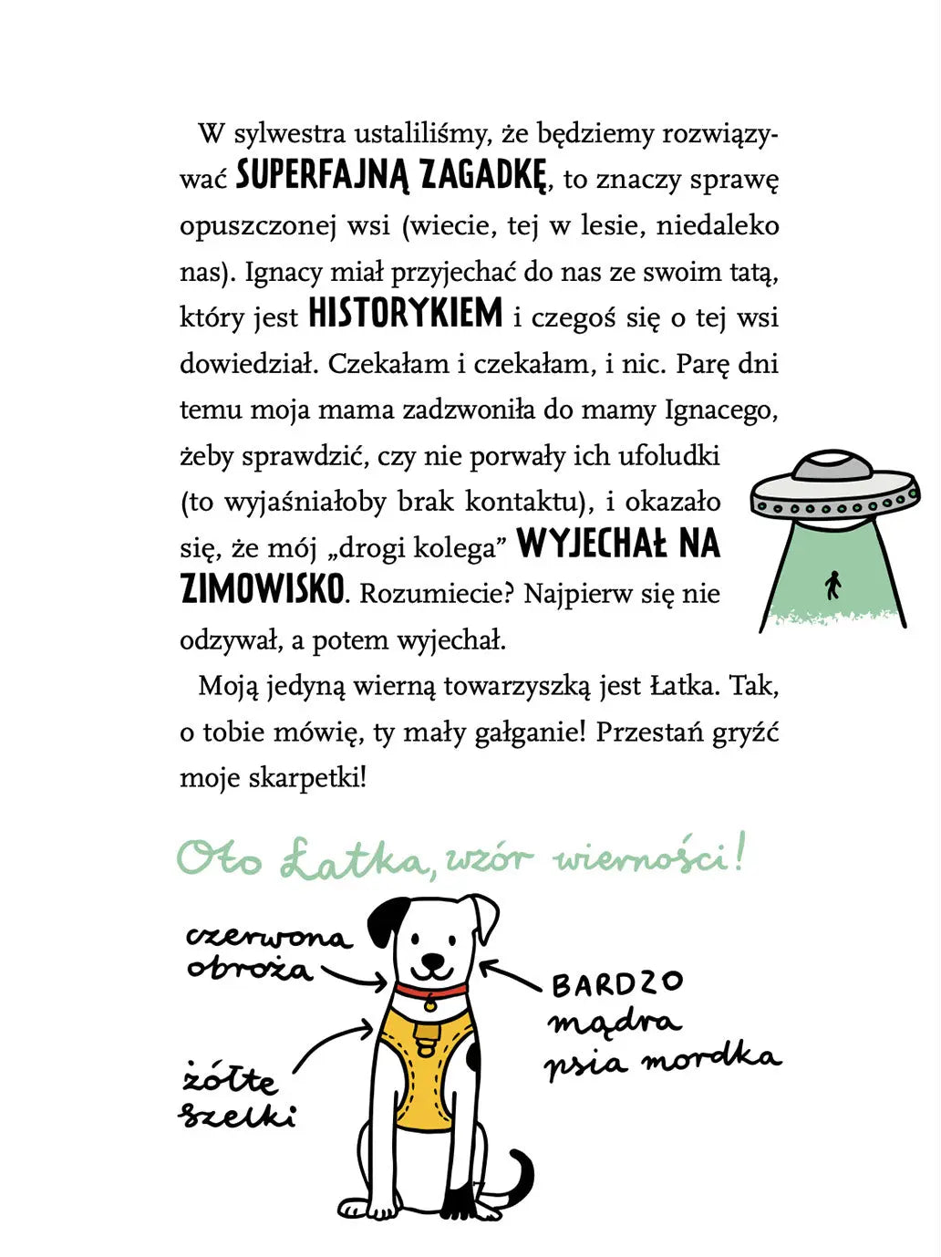 Gaja z Gajówki - Chatka w sercu lasu Wydawnictwo Świetlik BEBE Concept 