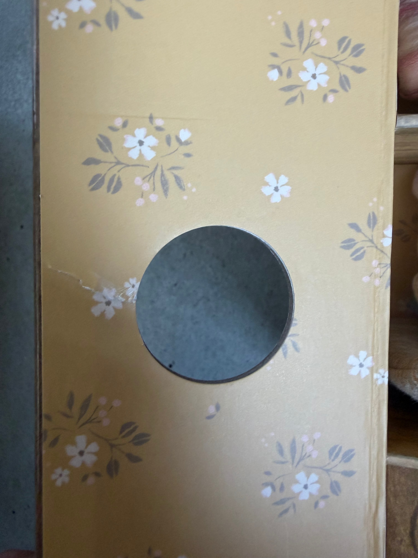 OUTLET Ballet mice in a dance studio