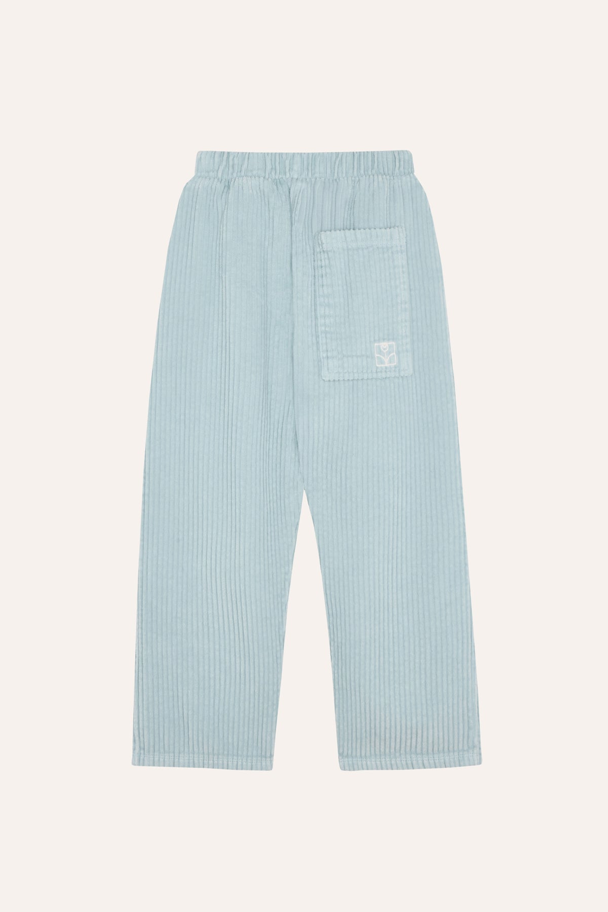 Light Blue Corduroy Trousers LIGHT BLUE