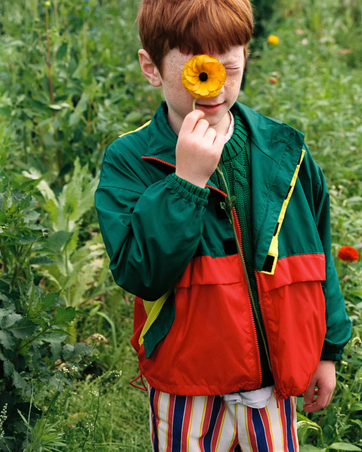 Pansy Jacket Color Block The New Society BEBE Concept 