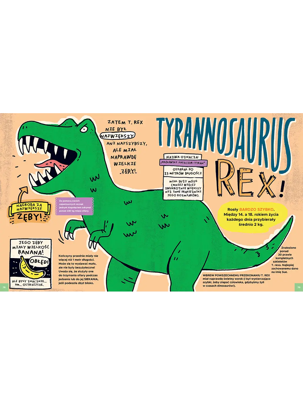 Totalnie wszystko o dinozaurach i innych prehistorycznych bestiach Wydawnictwo Kropka BEBE Concept 
