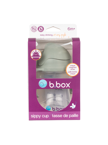 Bidon niekapek z rurką B.Box BEBE Concept 