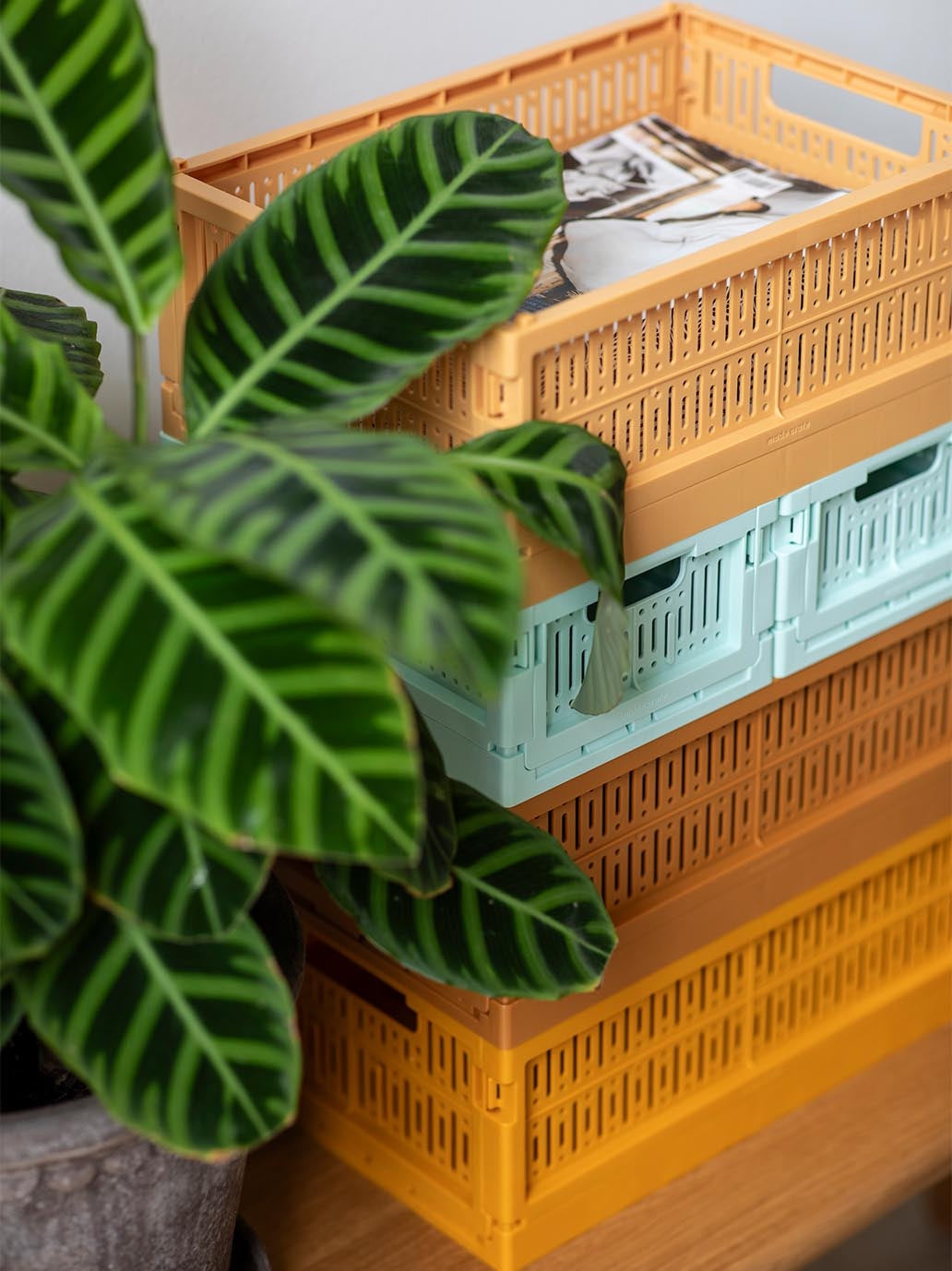Skrzynka modułowa z recyclingu Made Crate BEBE Concept 