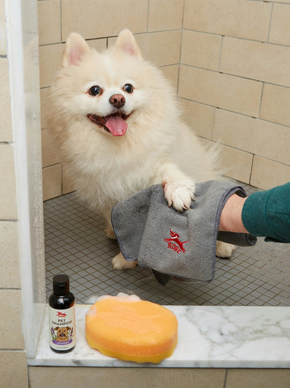 Zestaw dla psa Kobe Dog Bath Kit Kikkerland BEBE Concept 