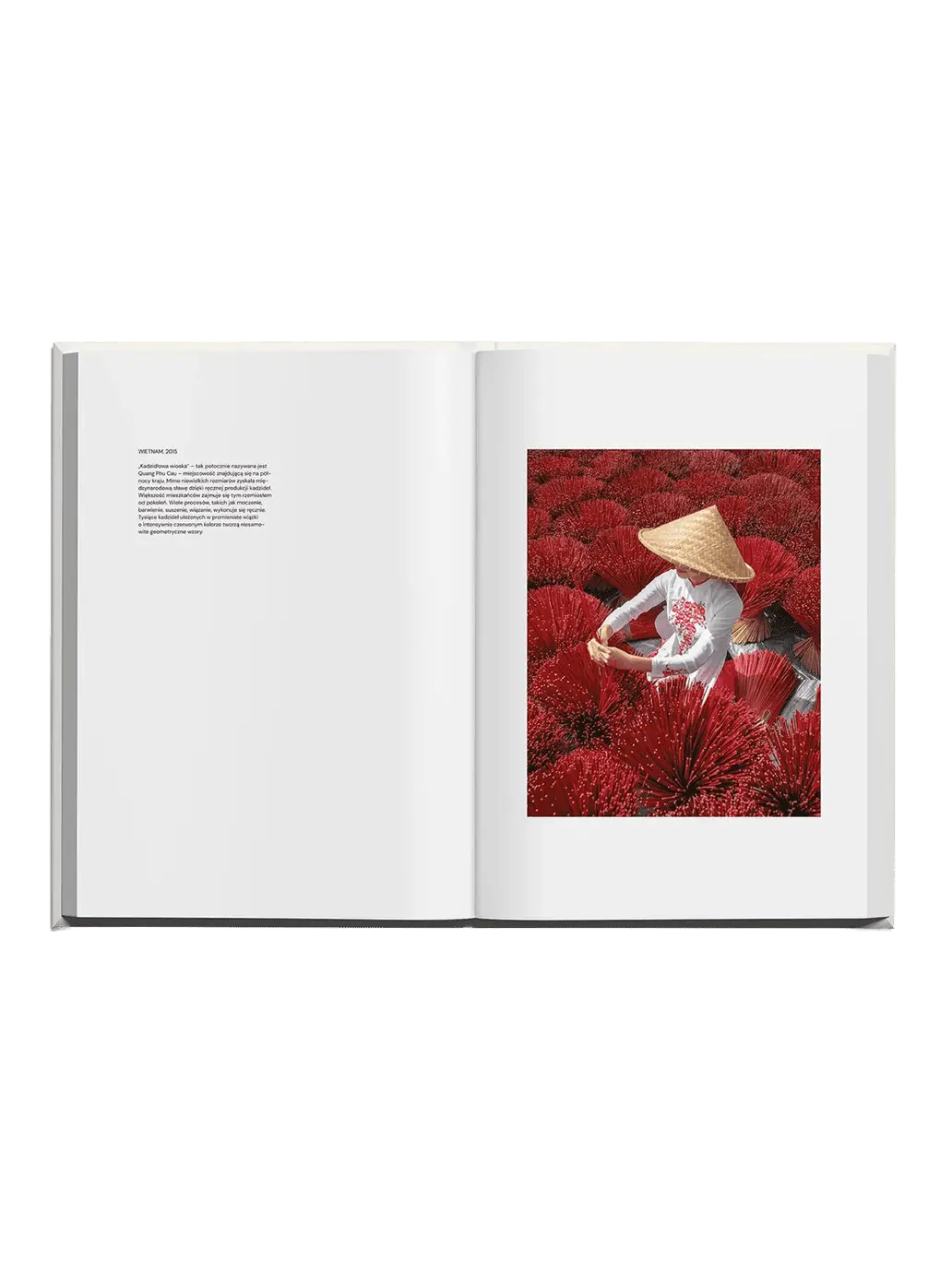Bratosiewicz Album Bratosiewicz BEBE Concept 
