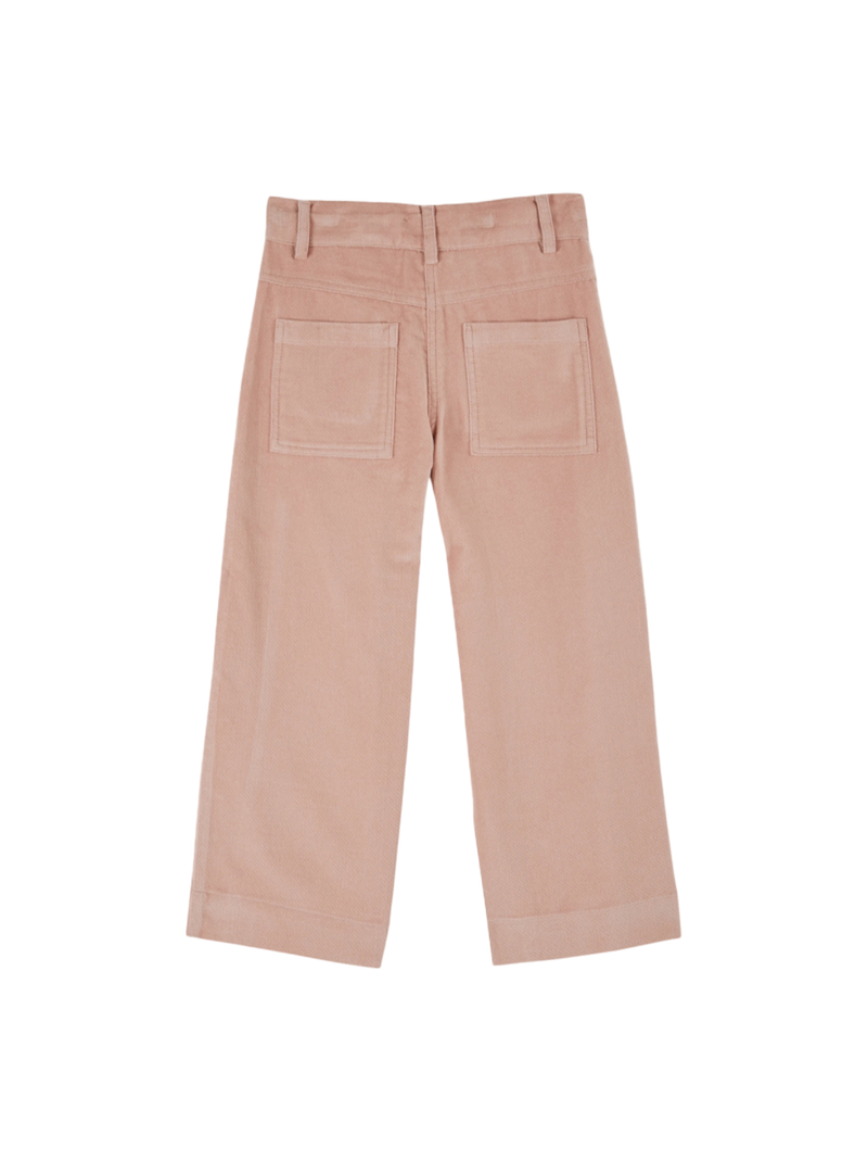 Spodnie Embroidered velvet pants