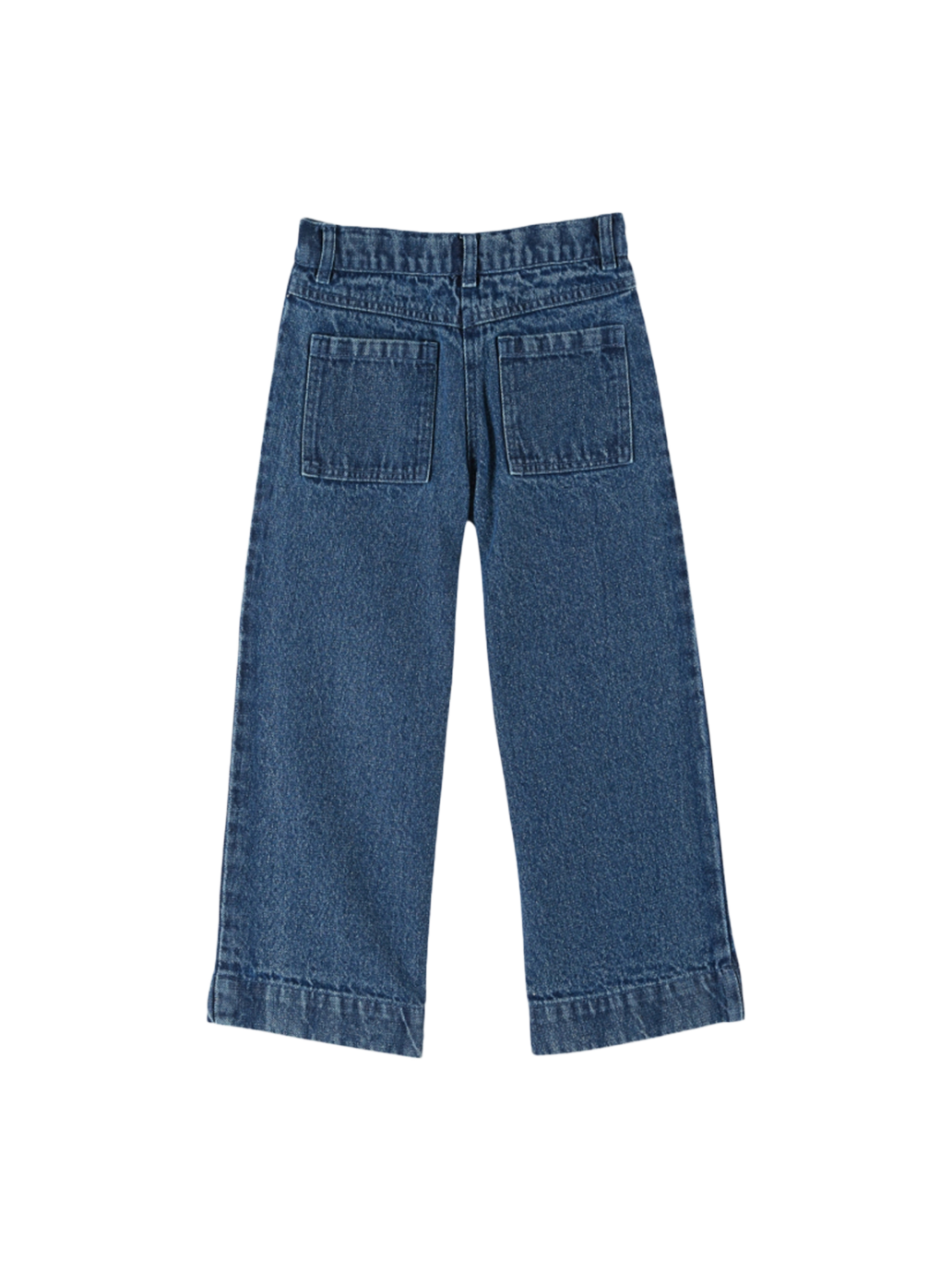 Hose Embroidered Denim Pants DENIM