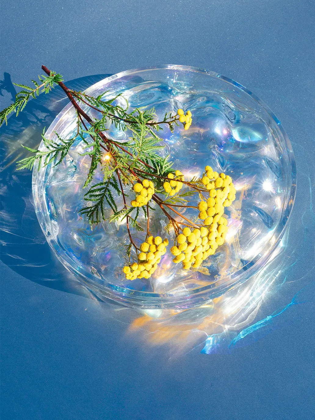Szklana misa Blister Bowl Matias Moellenbach BEBE Concept 