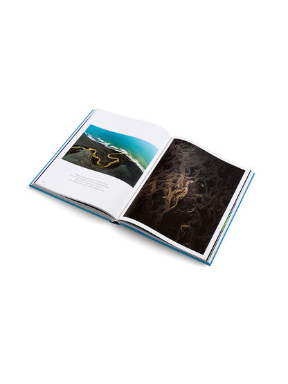 The Oceans Gestalten BEBE Concept 