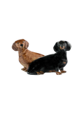 Ceramiczne figurki na sól i pieprz Quail BEBE Concept 