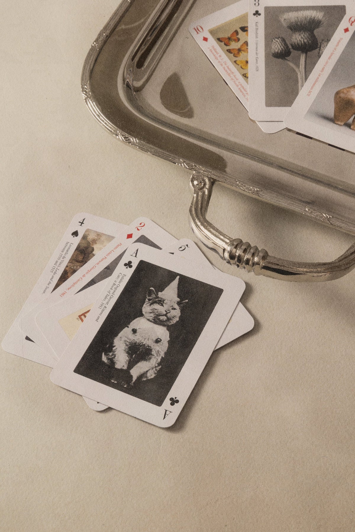 Karty do gry (PA)PIERRE BEBE Concept 