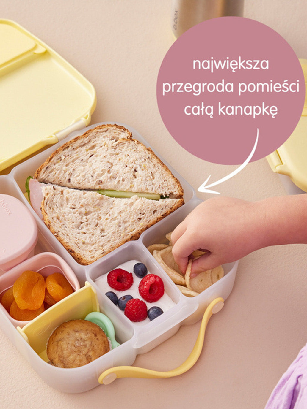 Duży szczelny lunchbox z przegródkami B.Box BEBE Concept 