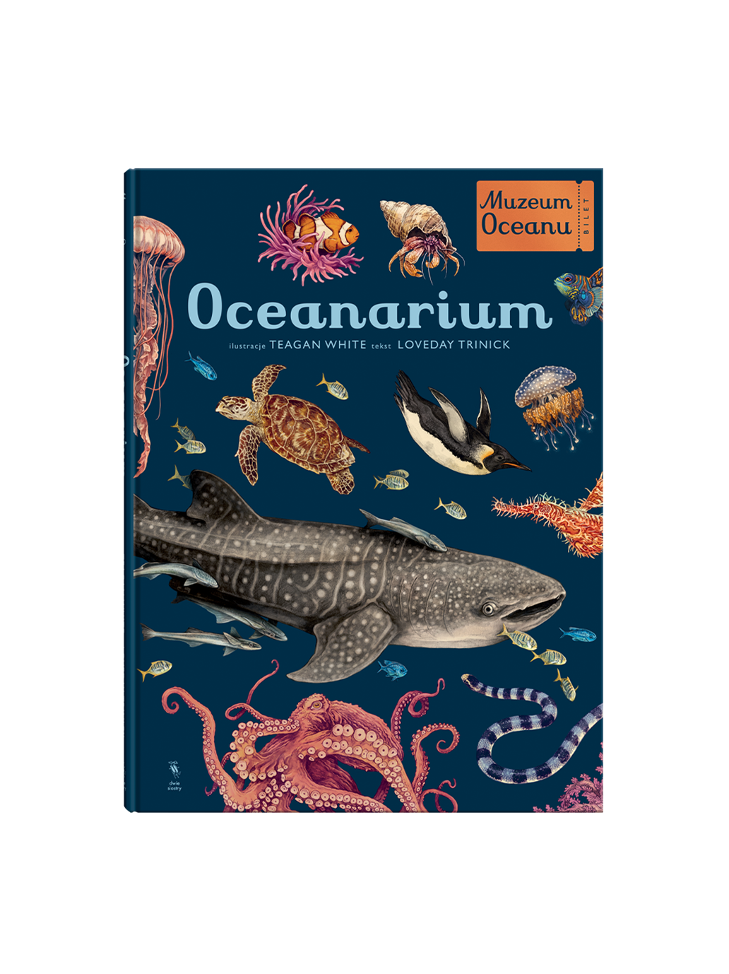 W Muzeum. Oceanarium Wydawnictwo Dwie Siostry BEBE Concept 