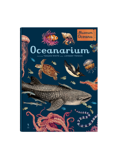 W Muzeum. Oceanarium Wydawnictwo Dwie Siostry BEBE Concept 
