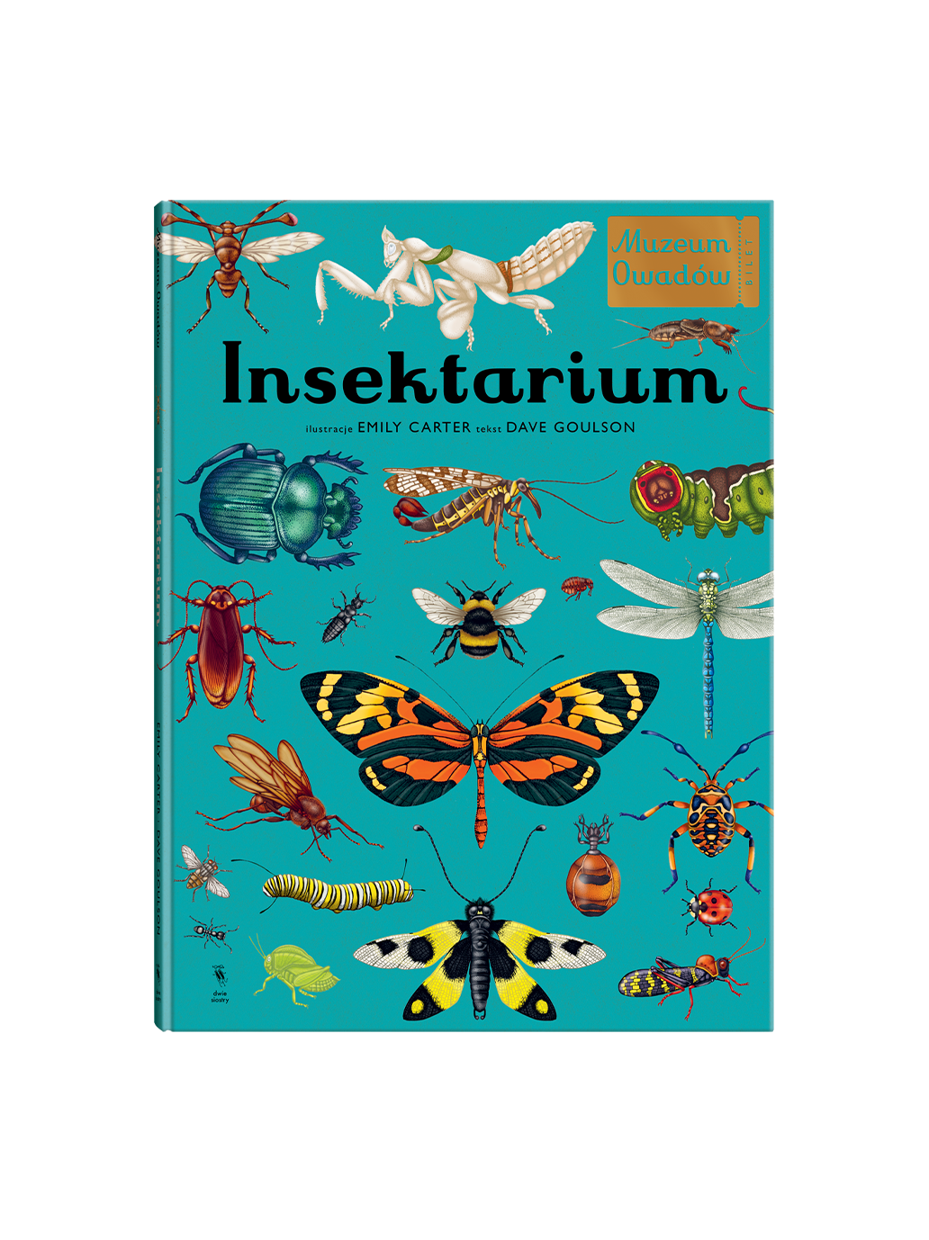 W Muzeum. Insektarium Wydawnictwo Dwie Siostry BEBE Concept 