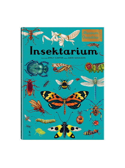 W Muzeum. Insektarium Wydawnictwo Dwie Siostry BEBE Concept 