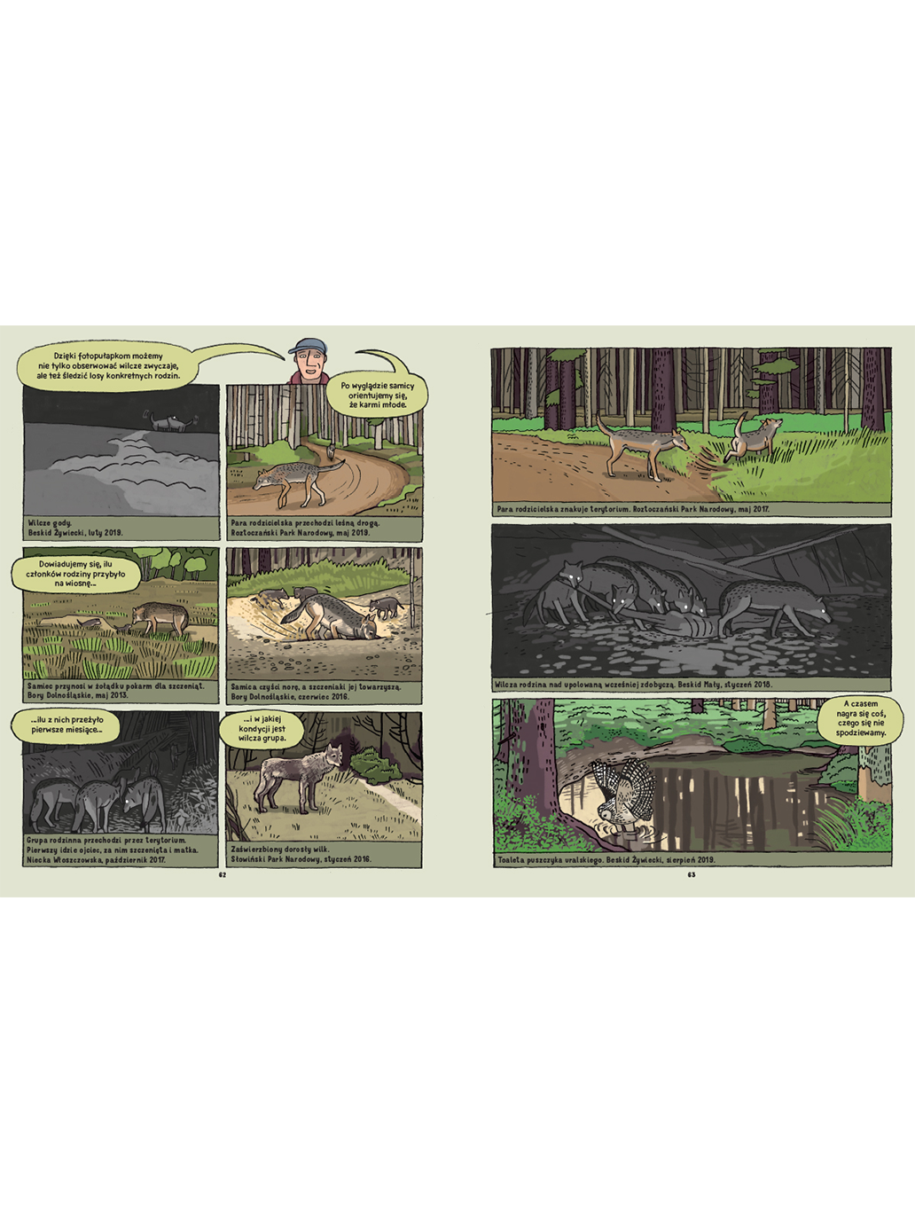 Wilki. Historie prawdziwe Wydawnictwo Dwie Siostry BEBE Concept 