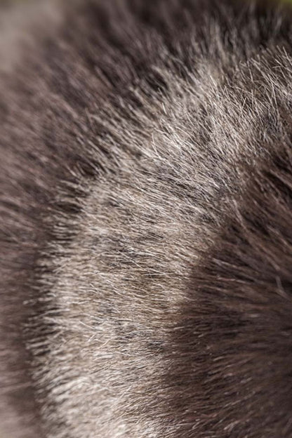 Peluche raton laveur Trixiwoo
