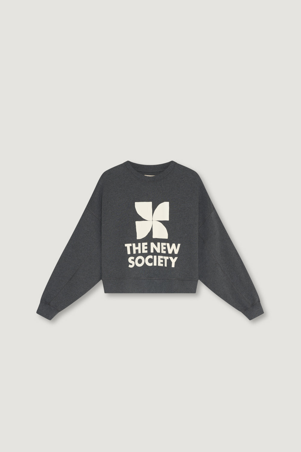 Sweat-shirt à logo TNS gris foncé chiné